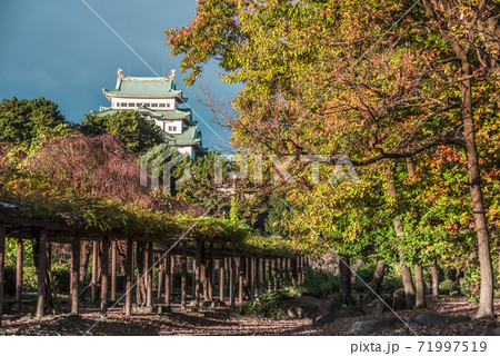 愛知県 紅葉の名古屋城の写真素材