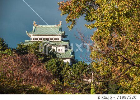愛知県 紅葉の名古屋城の写真素材