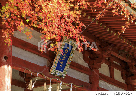石龕寺 紅葉 石龕寺 紅葉 71997617