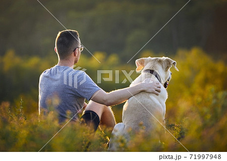 Man sitting with dog on meadow 71997948