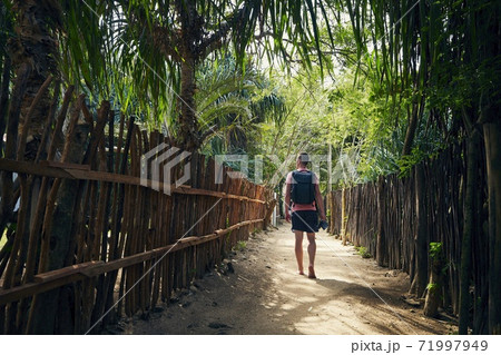 Man walking on footpath amidst palm trees Man walking on footpath amidst palm trees 71997949