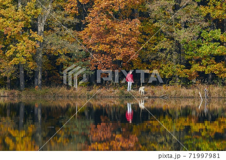 Man with dog in autumn nature 71997981