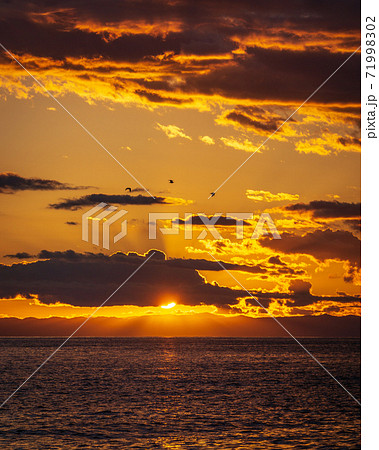 夕暮れの海を飛ぶカラスの写真素材