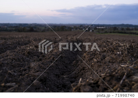 Freshly plowed black rich soil on a field in a sunset. Freshly plowed black rich soil on a field in a sunset. 71998740