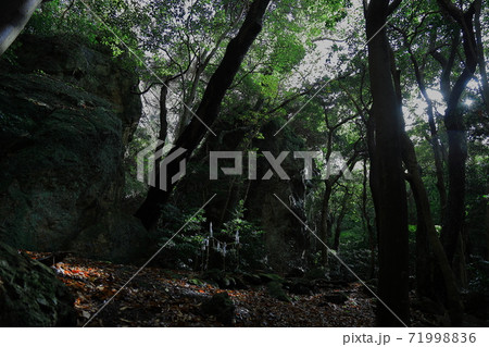 立石神社 71998836