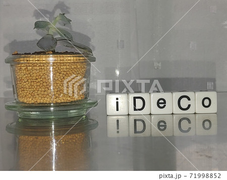 明るい光の中でIDECOと並べられたサイコロ文字と植物4 71998852
