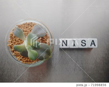 明るい光の中でNISAと並べられたサイコロ文字と植物1 71998856