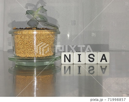 明るい光の中でNISAと並べられたサイコロ文字と植物4 71998857