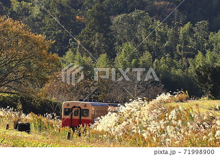 紅葉の小湊鉄道 紅葉の小湊鉄道 71998900