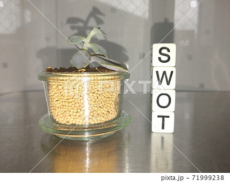 明るい光の中でSwotと並べられたサイコロ文字と植物3 71999238