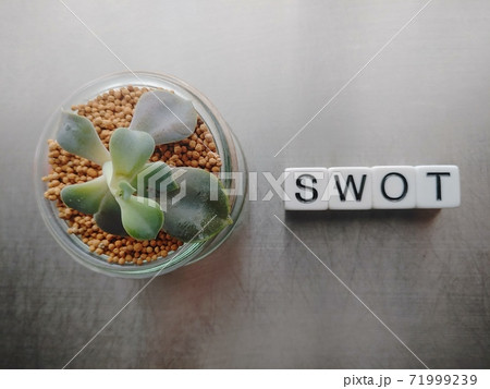 明るい光の中でSwotと並べられたサイコロ文字と植物4 71999239