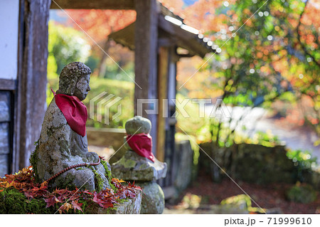 高源寺 紅葉 高源寺 紅葉 71999610
