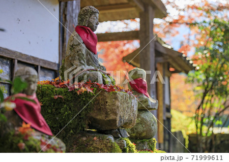 高源寺　紅葉　 71999611