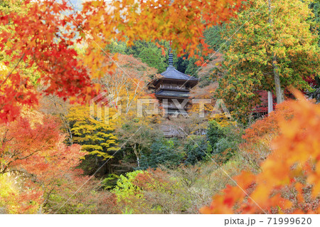 高源寺 紅葉 高源寺 紅葉 71999620