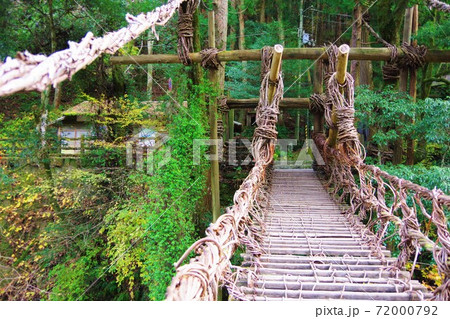 徳島県三好市　かずら橋 72000792