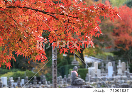 紅葉が彩る美しい京都の寺社風景 72002887