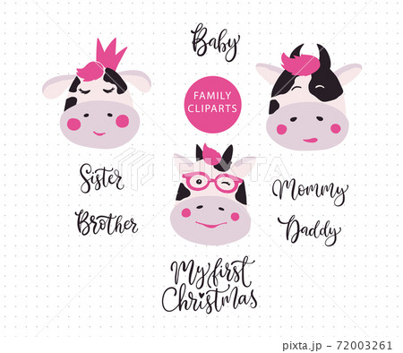 Vector image of an cow head on white background 72003261