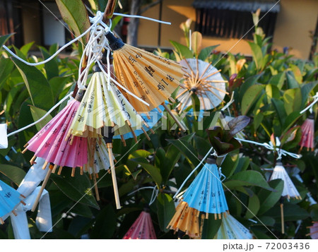 傘みくじ 松陰神社 傘みくじ 松陰神社 72003436