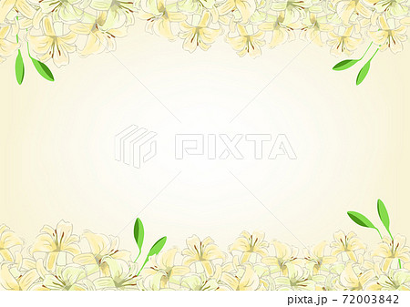手書きの百合 ゆり のきれいな花の背景 フレームイラスト素材のイラスト素材