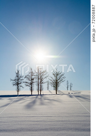 冬の青空と雪原に伸びるカラマツの影 72008887