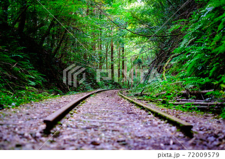旧国鉄倉吉線廃線跡 旧国鉄倉吉線廃線跡 72009579