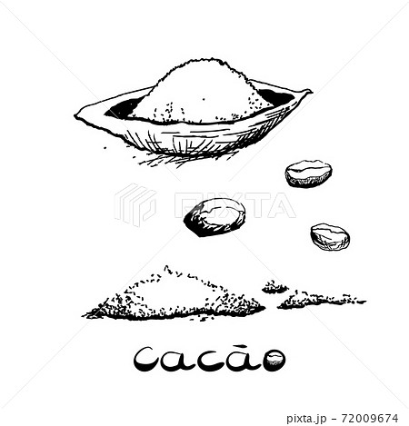 The Fruit Of The Cacao Tree And Beans Black のイラスト素材