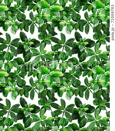 緑の葉っぱの連続パターン背景のイラスト素材
