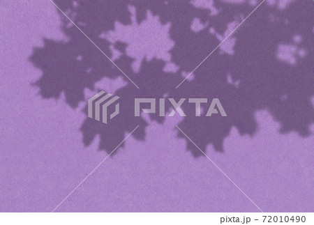 Summer background of plant shadows. Shadow of tree leaves on a lilac wall. White and black to overlay a photo or mockup 72010490