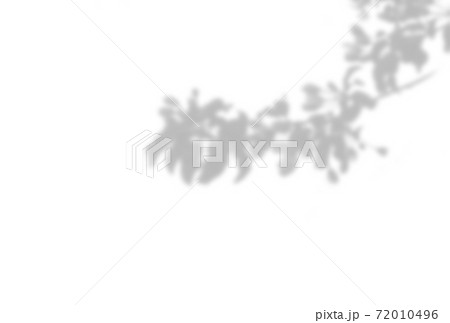 Summer background of plant shadows. Shadow of tree leaves on a white wall. White and black to overlay a photo or mockup Summer background of plant shadows. Shadow of tree leaves on a white wall. White and black to overlay a photo or mockup 72010496