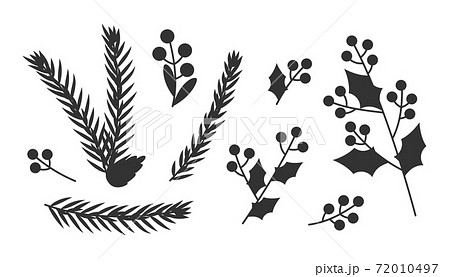Christmas branch pine cone berry leaves vector set Christmas branch pine cone berry leaves vector set 72010497