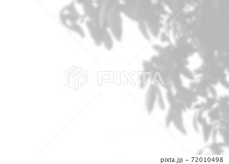 Summer background of plant shadows. Shadow of tree leaves on a white wall. White and black to overlay a photo or mockup Summer background of plant shadows. Shadow of tree leaves on a white wall. White and black to overlay a photo or mockup 72010498