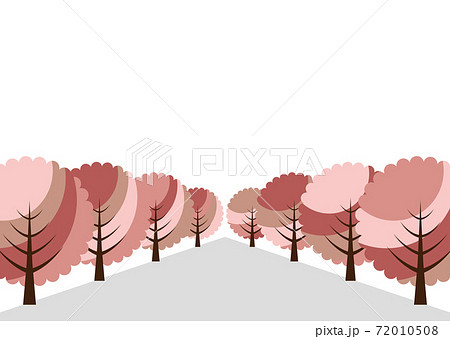 桜の並木道 イラストのイラスト素材