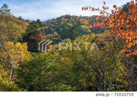 中禅寺湖　歌ヶ浜駐車場付近の紅葉景色　秋景色　　 72010759