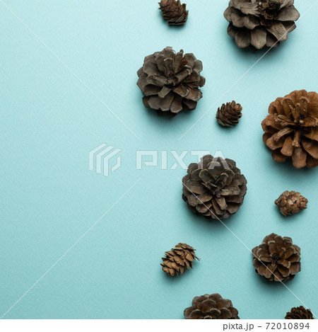 Dry pine cones on sky blue background. flat lay, top view, copy space Dry pine cones on sky blue background. flat lay, top view, copy space 72010894