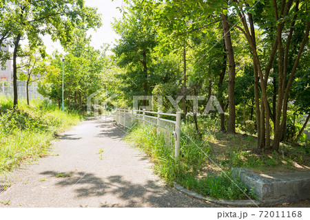 阿倍野の金塚ふれあい西公園 阿倍野の金塚ふれあい西公園 72011168