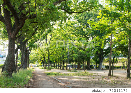 江坂の広芝公園 72011172