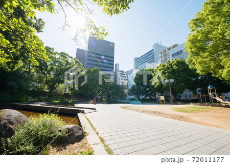 江坂の豊津公園 72011177