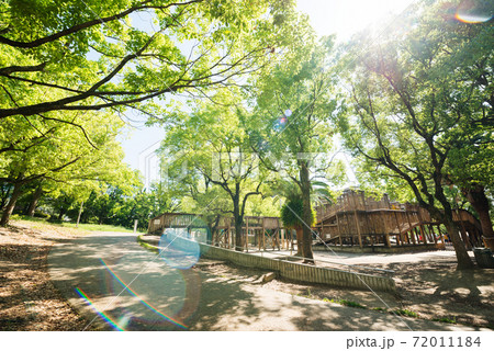 江坂の江坂公園 72011184