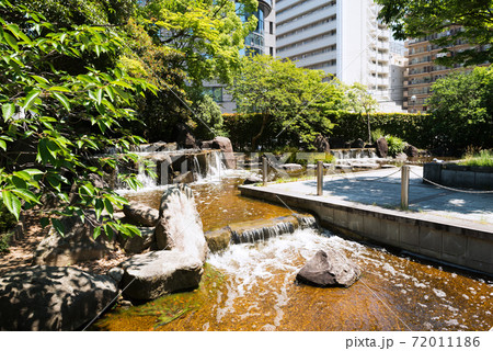 江坂の豊津公園 72011186