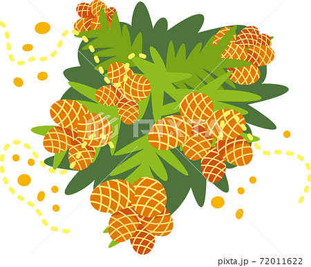 スギ花粉のアップ 72011622