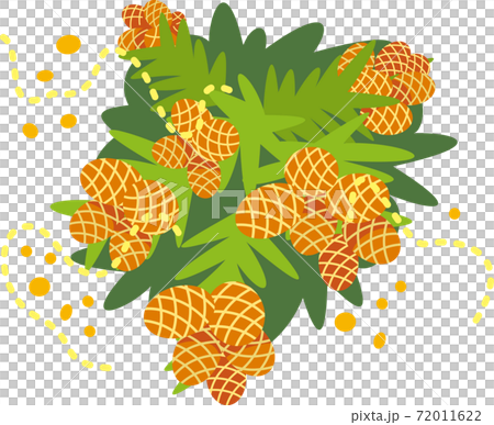 スギ花粉のアップ 72011622