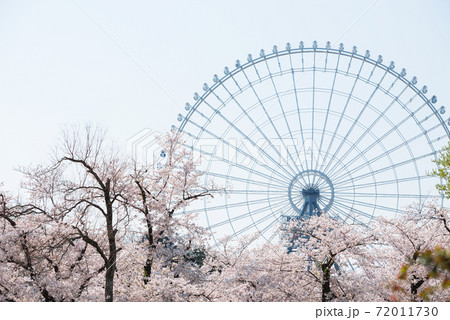 春の万博記念公園 72011730