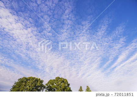 青い空 夕焼け 白い雲 晴れ 秋の空 青い空 夕焼け 白い雲 晴れ 秋の空 72011851