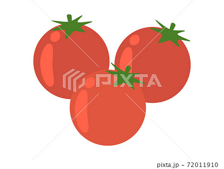 ミニトマト 72011910