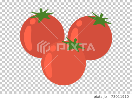 ミニトマト 72011910