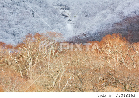 冬の赤城山頂の雪景色 72013163
