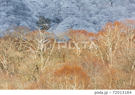 冬の赤城山頂の雪景色 72013164
