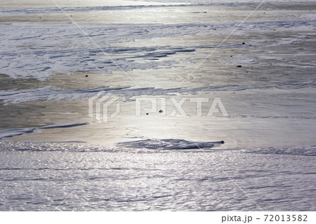 冬の赤城山　凍結する小沼の湖面模様 72013582