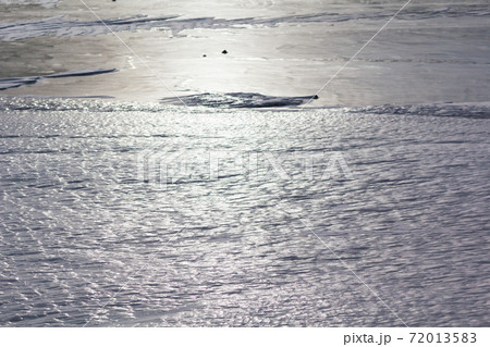 冬の赤城山 凍結する小沼の湖面模様 冬の赤城山 凍結する小沼の湖面模様 72013583
