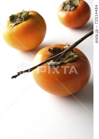 柿の実をシンプルに白背景で撮影 72014484